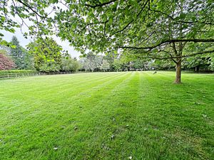 Garden top 2- click for photo gallery